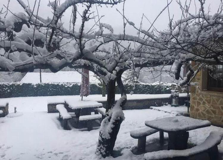 Orlé Hotel Restaurante La Carasca المظهر الخارجي الصورة